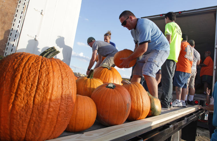 Pumpkin Patch